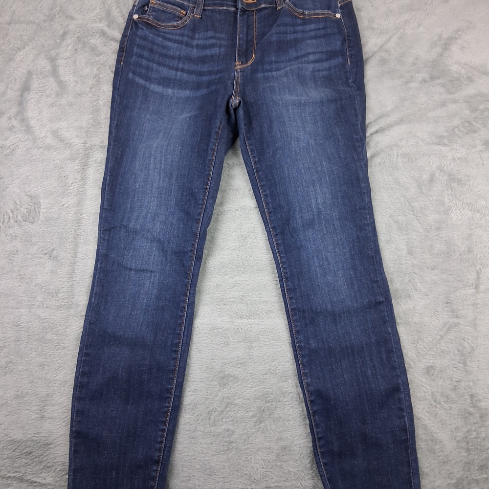 Judy Blue Indigo Skinny Jeans